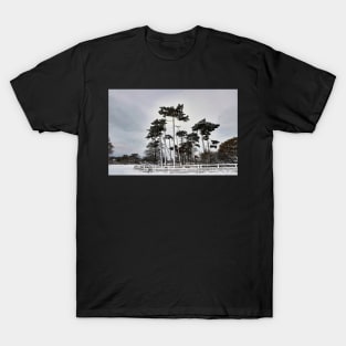 Warlies Park Winter Scene T-Shirt